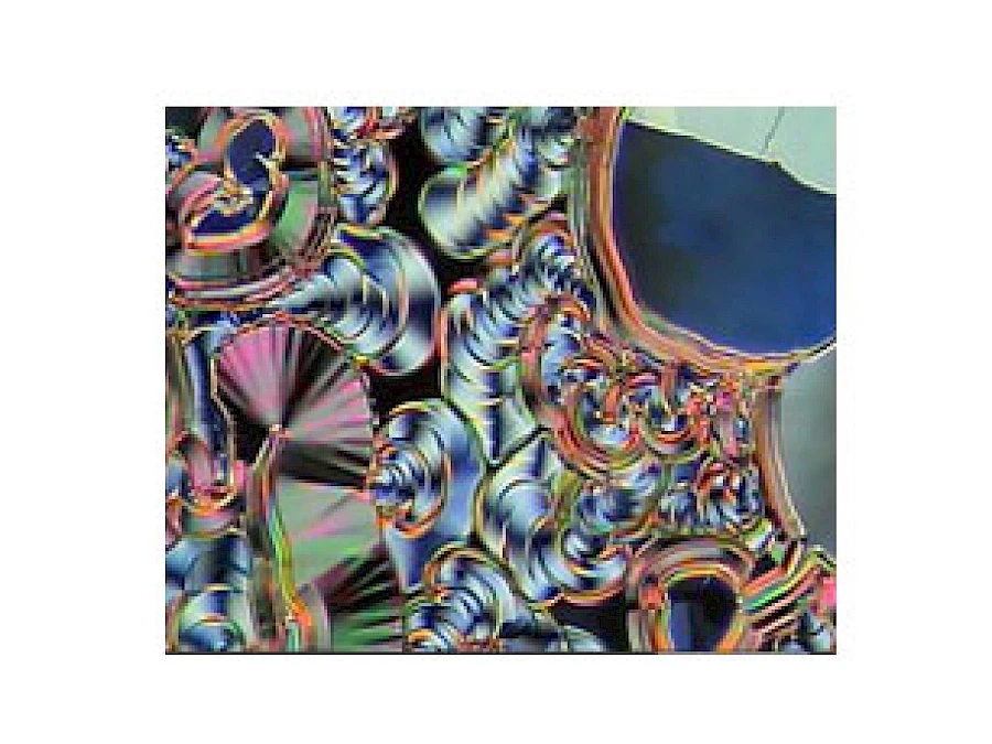 Polarized Observe