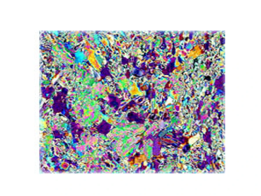 Polarized Observe