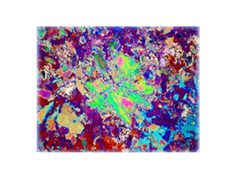 Polarized Observe