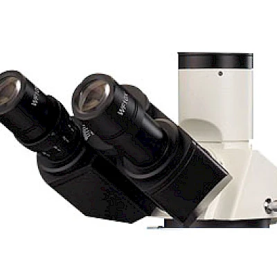Head of POL1510