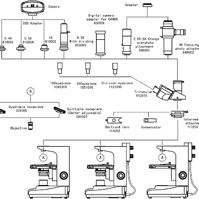 Diagram of POL1510