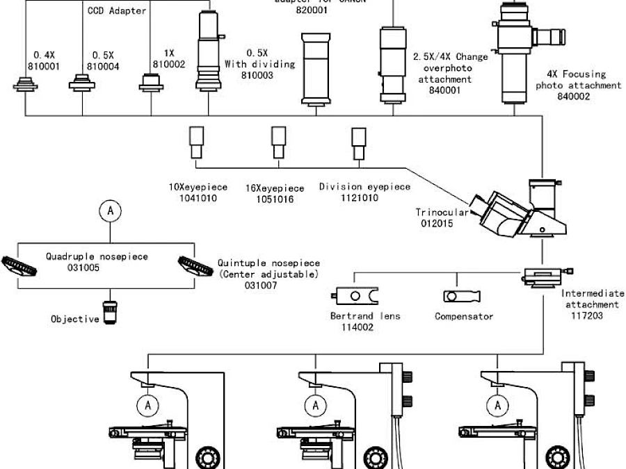 Diagram of POL1520