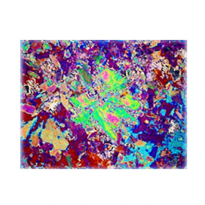 Polarized Observe