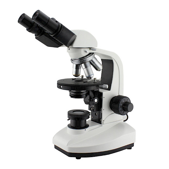 POL1100