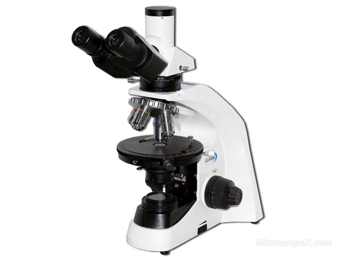 POL2600