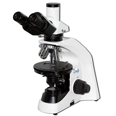POL2600