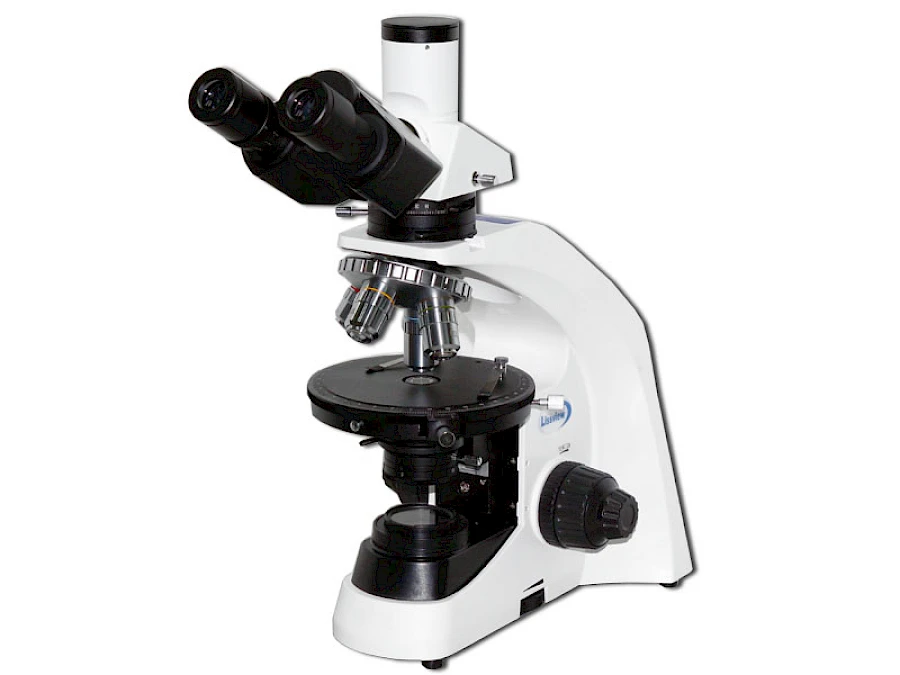POL2600