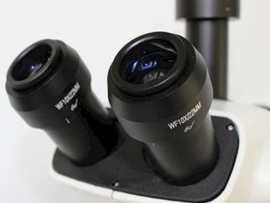 Head of VMF7063