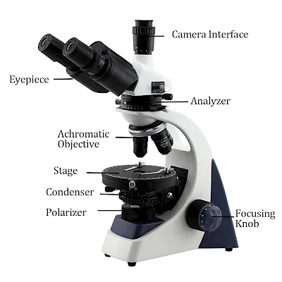 PLJ-137A 40X~1600X Easy Operation Powder Crystal Trinocular Standard Polarizing Microscope with LED Light Source image 2