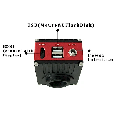 Structure of HD-2KR