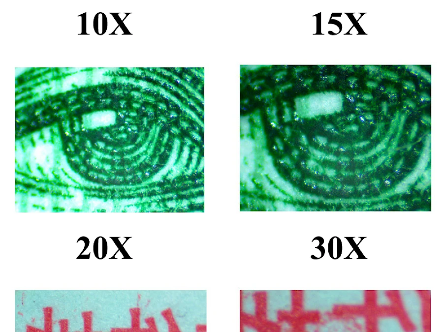 Real Images Captured by TZW6555 Stereo Microscope