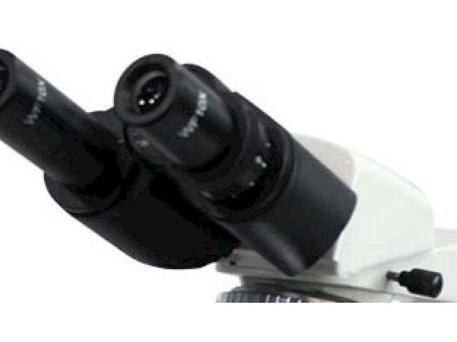 Head of BL-123