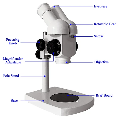 Structure of XTT-100 Stereo Microscope