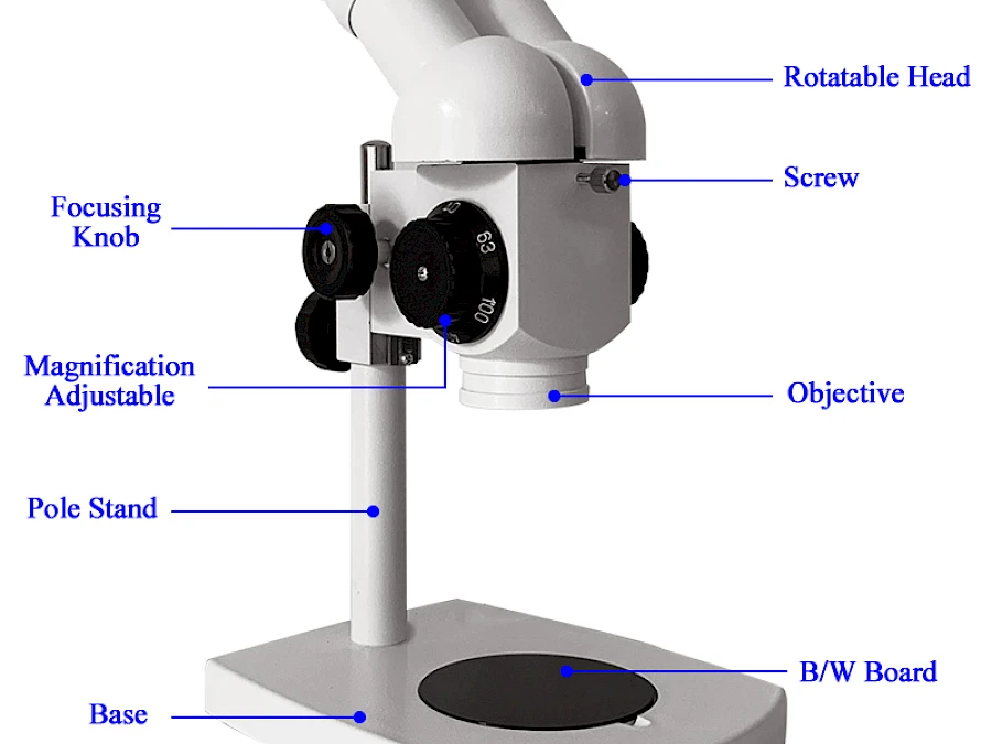 Structure of XTT-100 Stereo Microscope