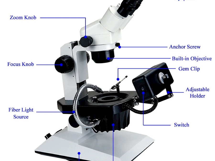 Structure of VGM550A Gemological Microscope
