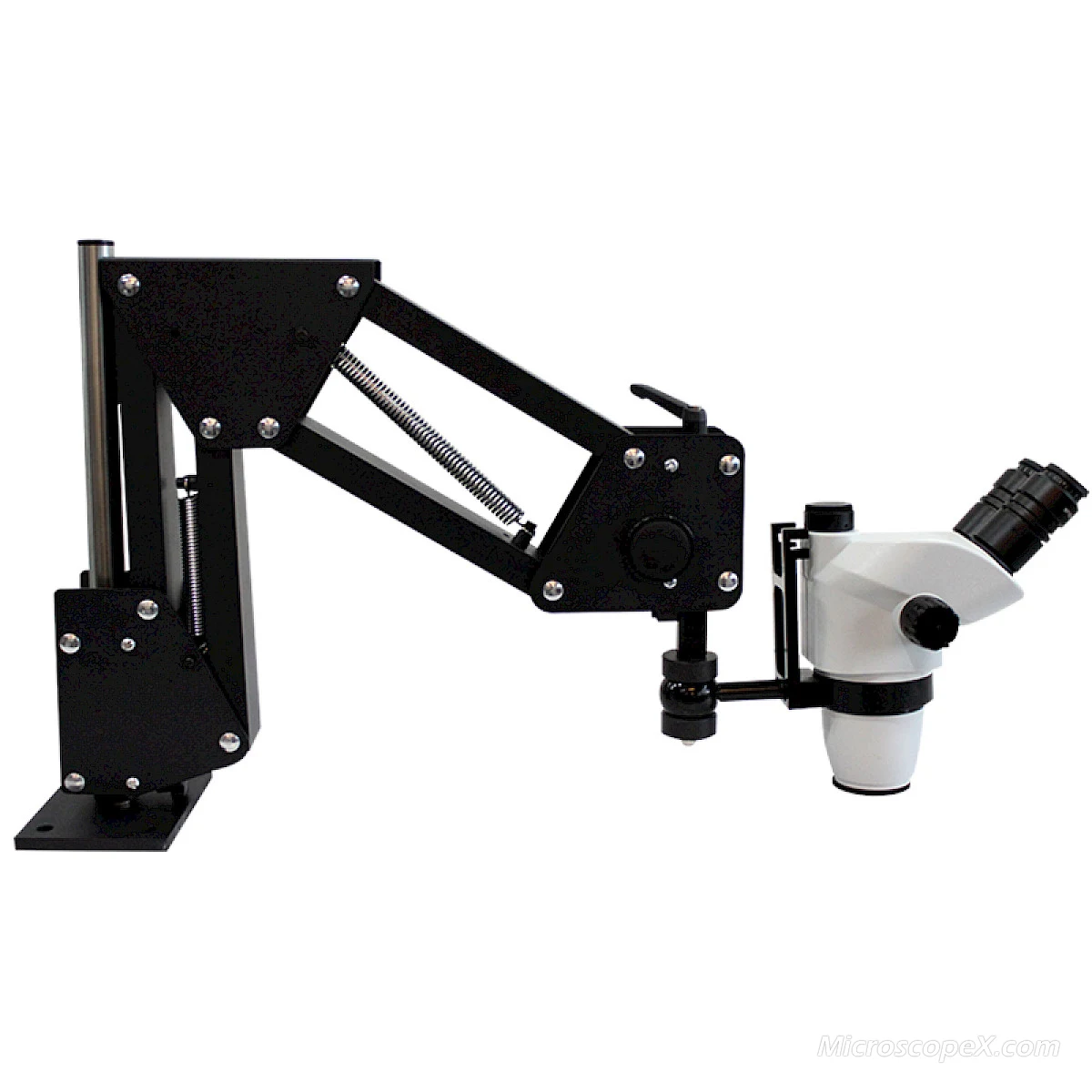 VGM300A Gemological Microscope