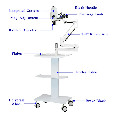 Structure of VMS105CD Dental Microscope