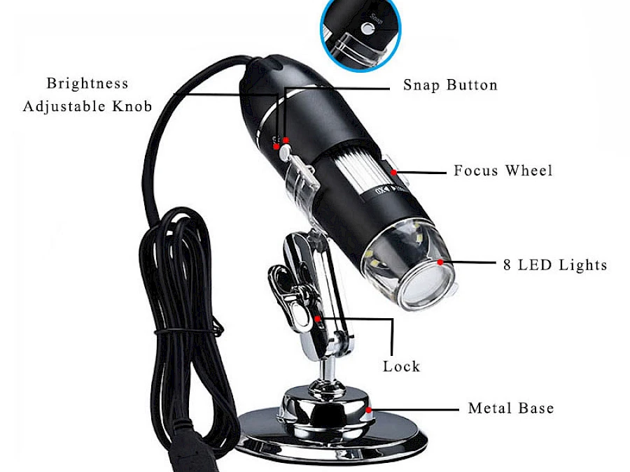 Structure of D4D Digital Microscope