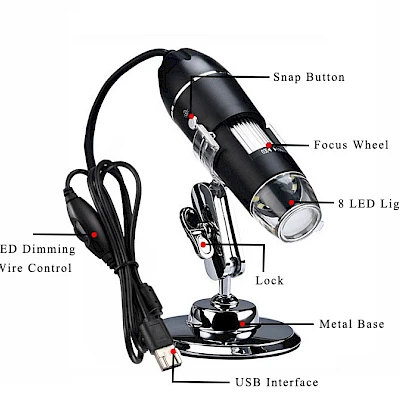 Structure of D4X Digital Microscope