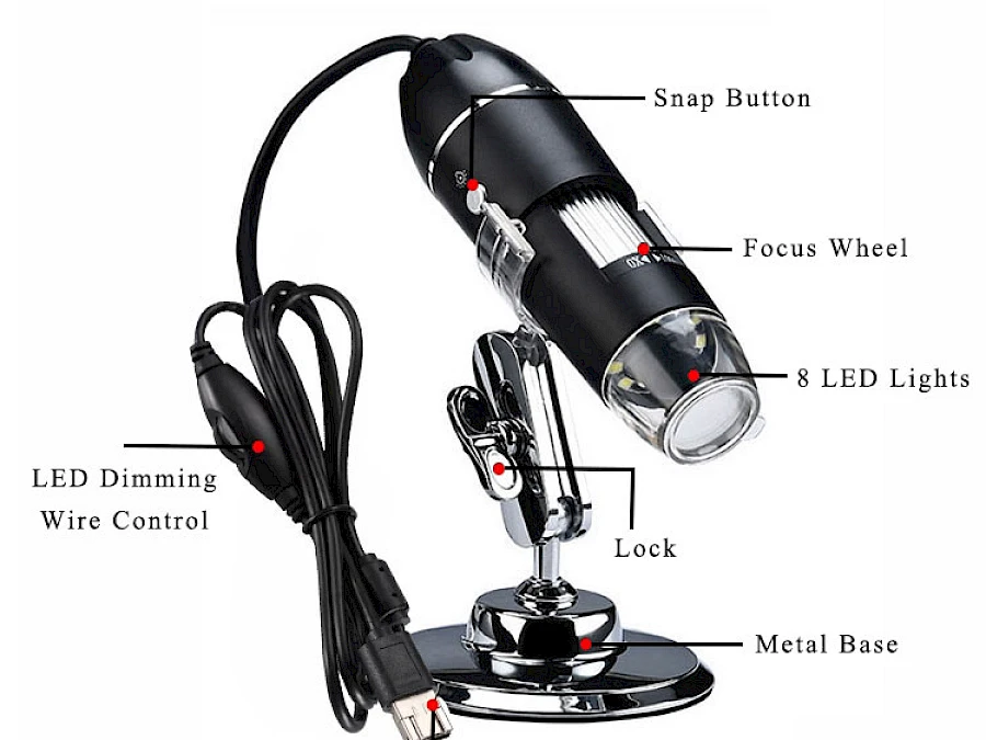 Structure of D4X Digital Microscope
