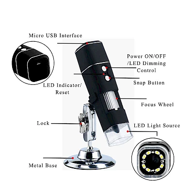 Structure of W01 Digital Microscope