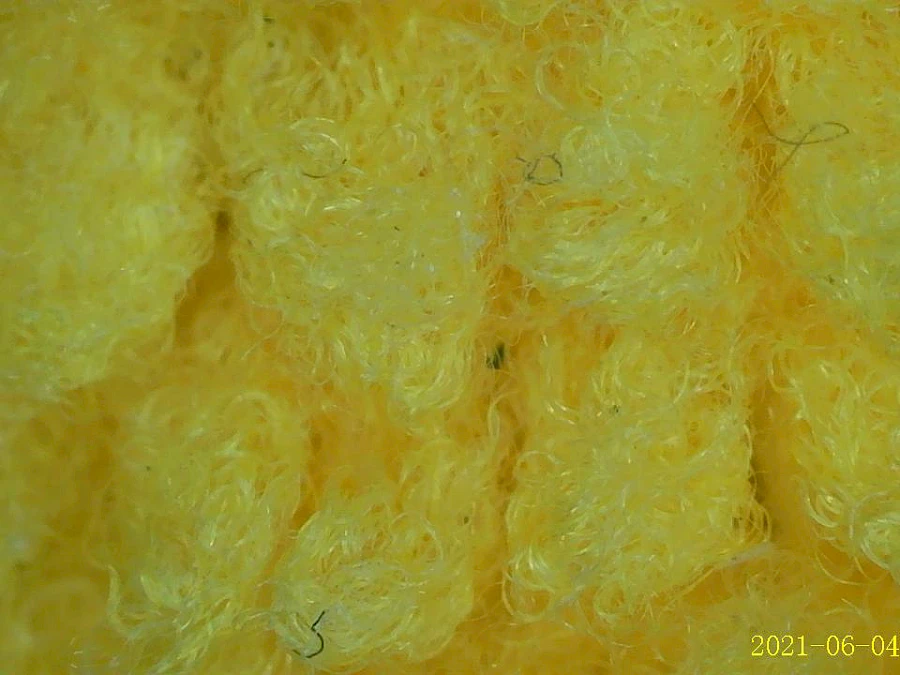 Real Image Captured by MS2 Digital Microscope