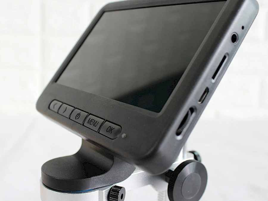 Multi-interfaces of MS2
