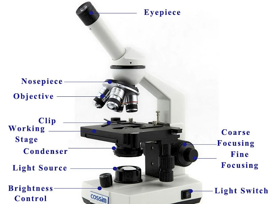 Structure of BL-20A Monocular Biological Microscope