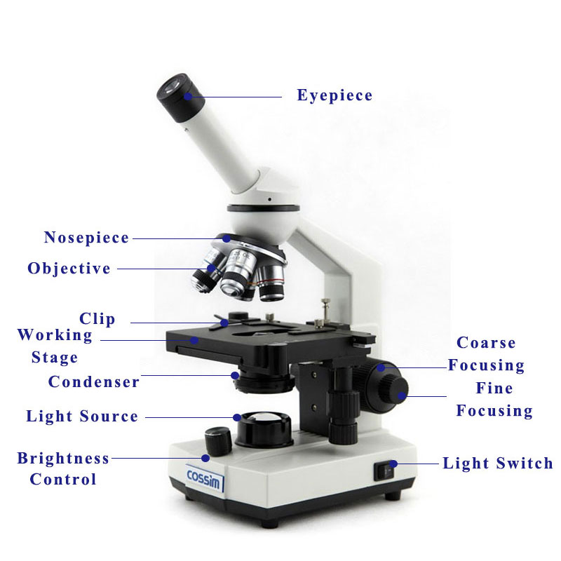 Structure of BL-20A Monocular Biological Microscope
