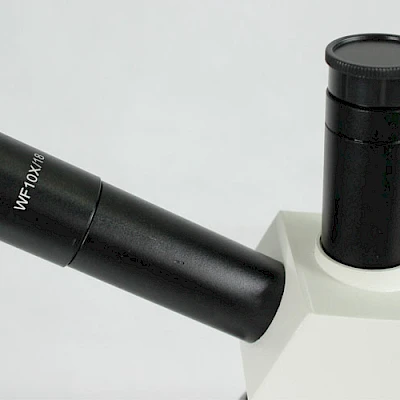 Eyepiece of BL-30D