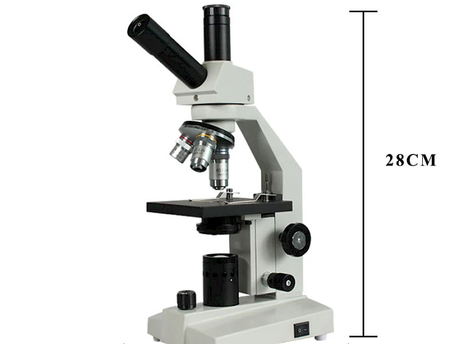 Size of BL-30D Biological Microscope