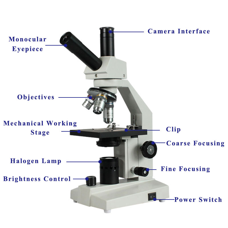Structure of BL-30D Biological Microscope