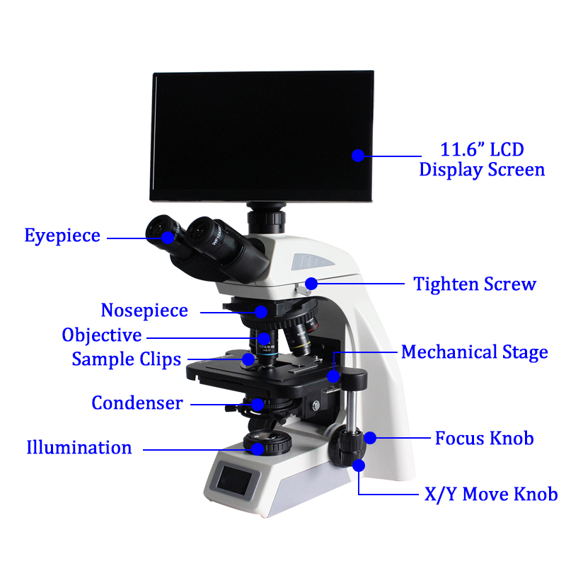Structure of BL-610T Trinocular Biological Microscope with the Display