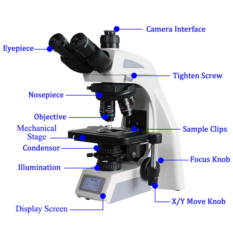 Structure of BL-620T Trinocular Biological Microscope