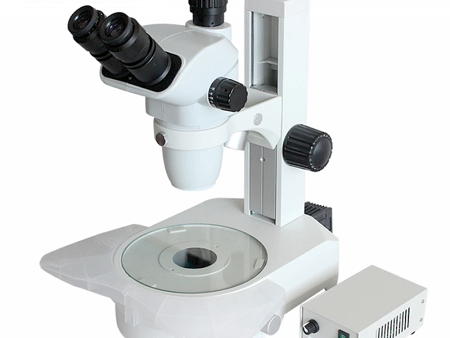TW650A Stereo Microscope
