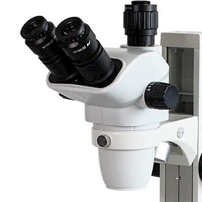 Head of TW650A