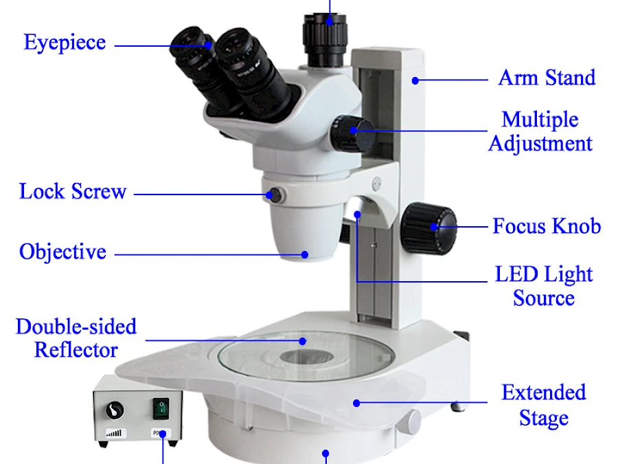 Structure of TW650A
