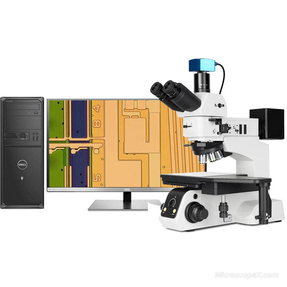 CM60BD Metallurgical Microscope