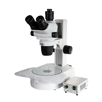 TW870A Stereo Microscope