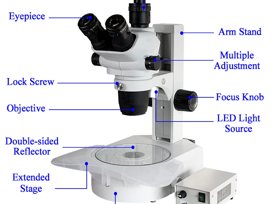 Structure of TW870A