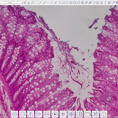 Software of XCAMLITE4K