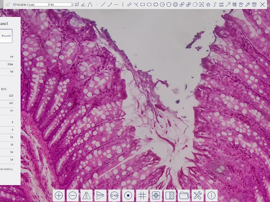 Software of XCAMLITE4K