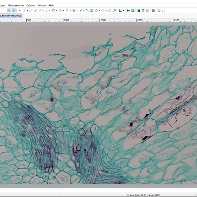 Software of XCAMTOP4K