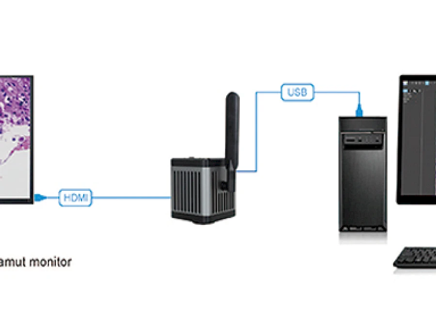 USB+ HDMI Simultaneous Outputs
