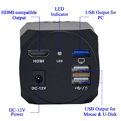 Structure of HD-4KLD