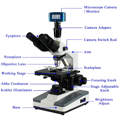 Structure of BL-125T Trinocular Microscope