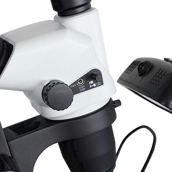 Magnification Fixed Step Function