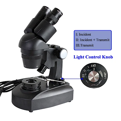Light Modes of VGM240