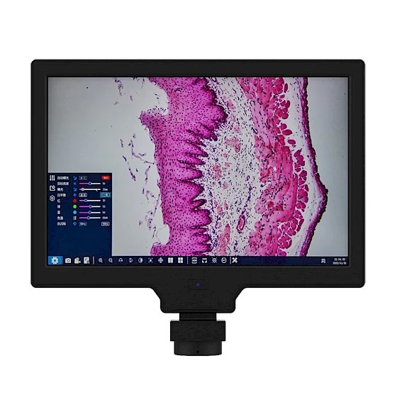 10inch 2MP HDMI & USB/UVC Output Microscope Monitor Integrated Screen with Measurement Software