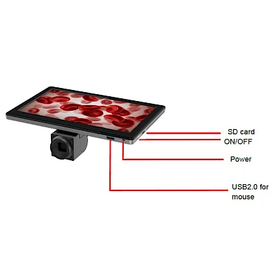 Structure of YW090C Screen